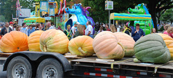 Image result for versailles indiana pumpkin show