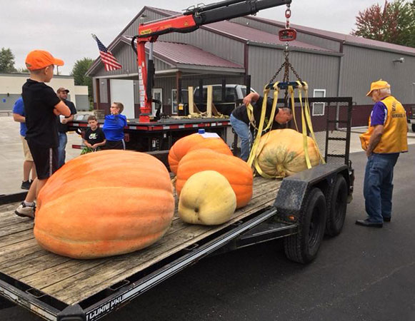 2022-large-pumpkins