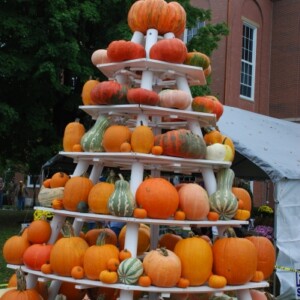 Large Pumpkin Display